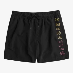 Billabong All Day Heritage shorts sort
